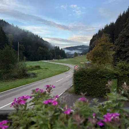 Bab And Apartments-zum Letzten G'stehr * Bad Rippoldsau-Schapbach