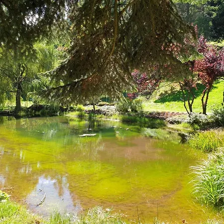 Bab And Apartments-zum Letzten G'stehr Bad Rippoldsau-Schapbach